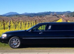 Boutique Wine Tours Limo